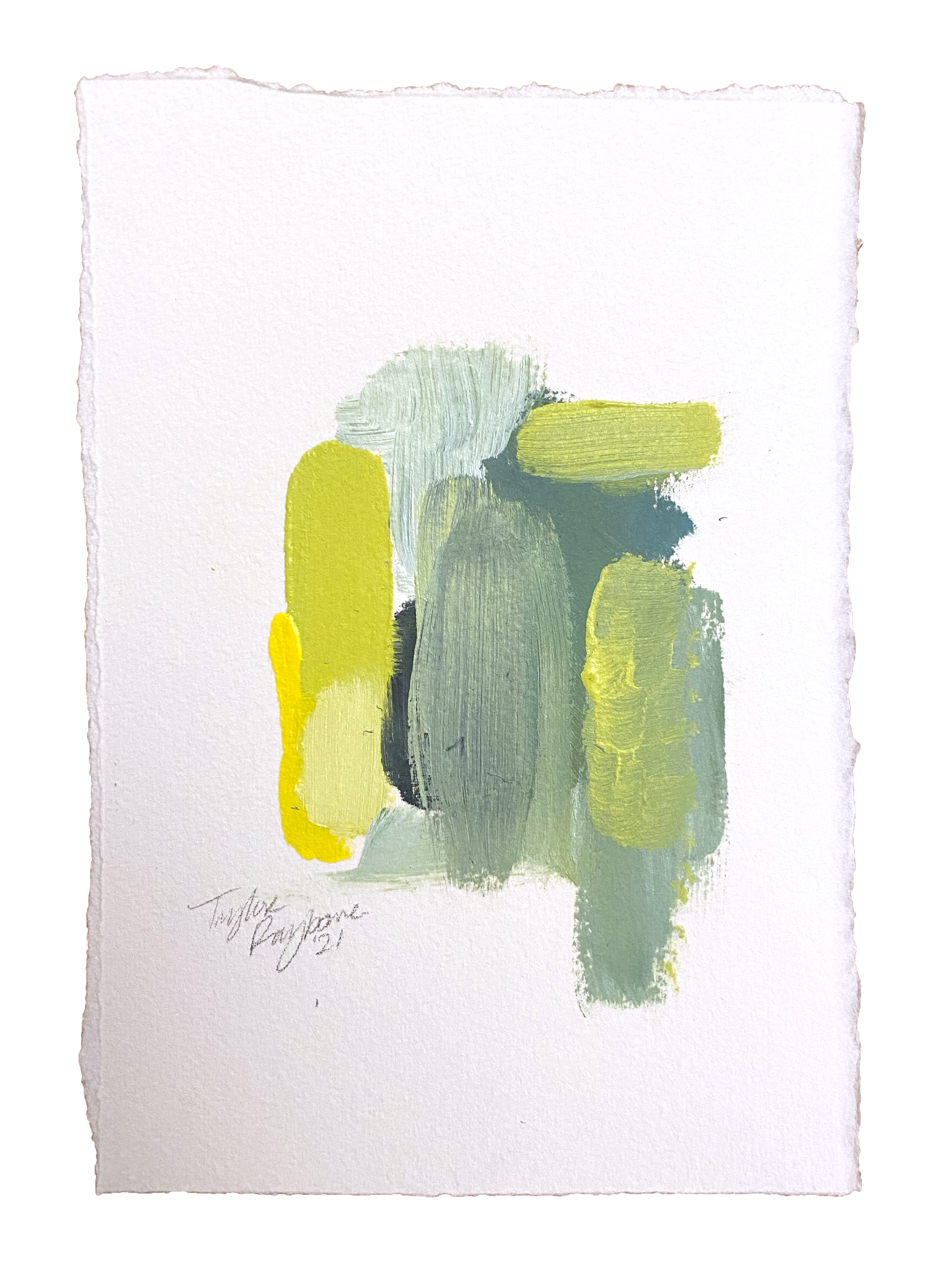 Lime Light Hydrangea | Abstract Work on Paper